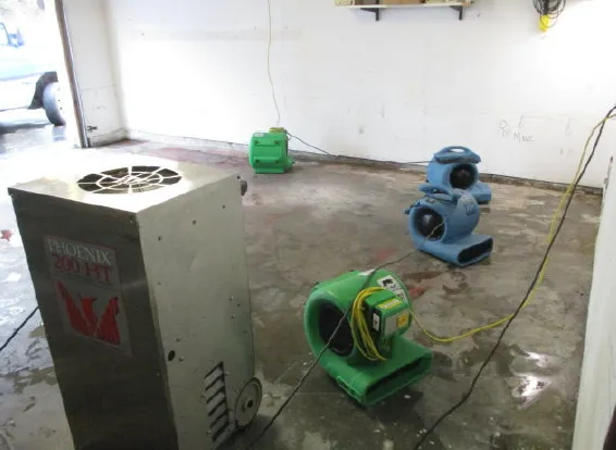 A1 Insurance Repair Specialist Picture 7