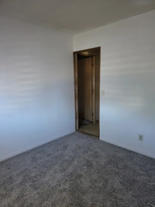 All Professional Systems Picture 3