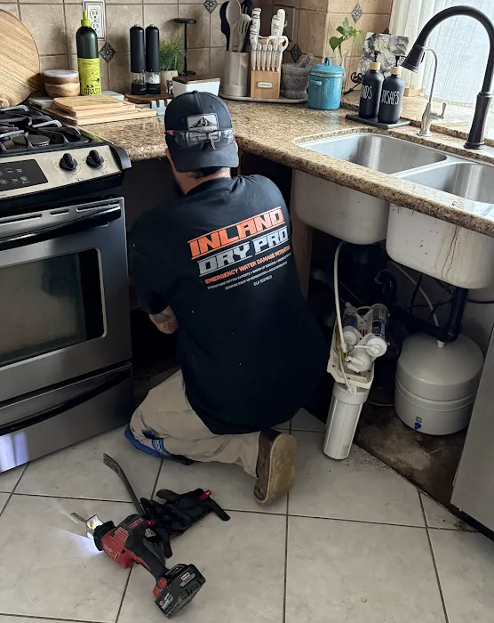 Inland Dry Pro Picture 1