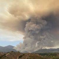 Pacific Pack Out ico