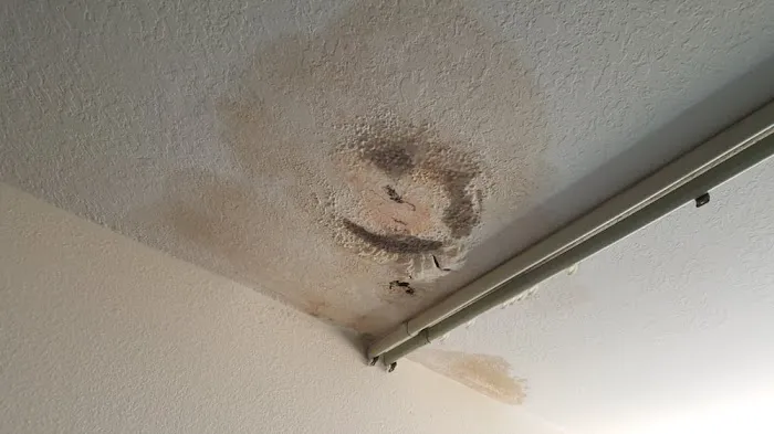 JCS Restoration Picture 7