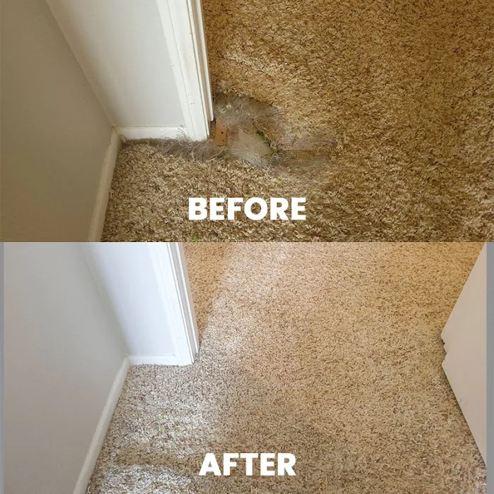 MVP Cleaning Restoration - Menifee Picture 2