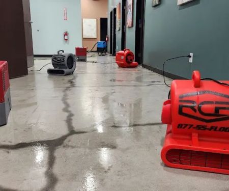 Rapid Clean Restoration