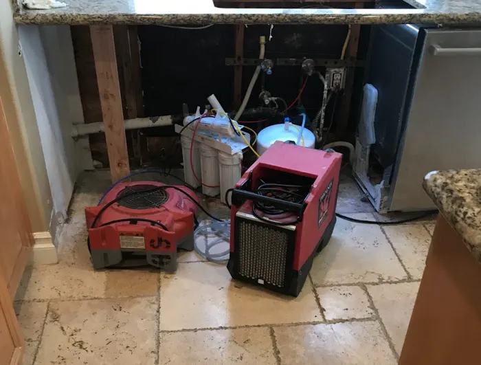 Rapid Clean Restoration Picture 8