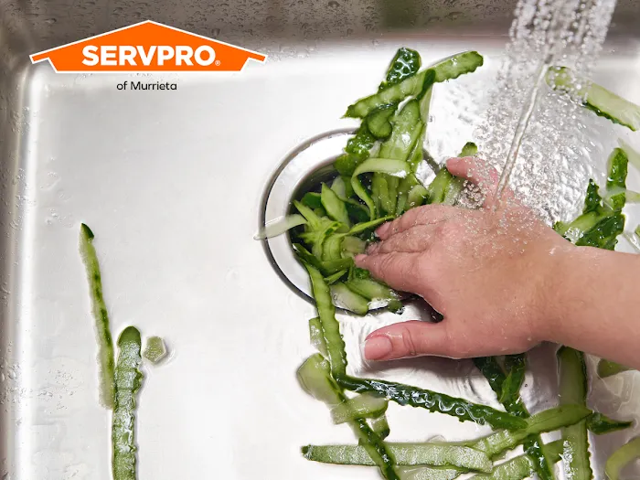 SERVPRO of Murrieta Picture 1