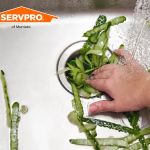 SERVPRO of Murrieta