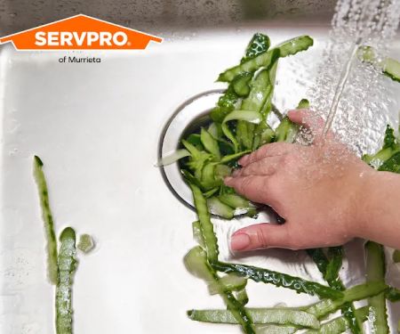 SERVPRO of Murrieta