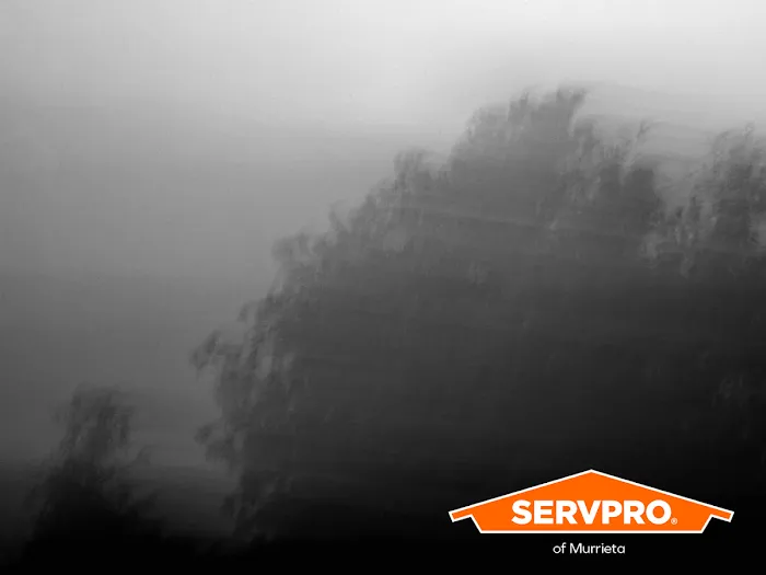 SERVPRO of Murrieta Picture 10