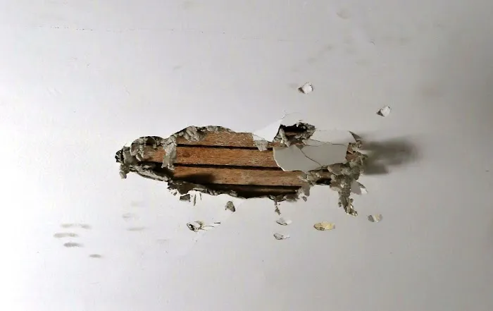 IBM Water Damage Restoration Picture 3