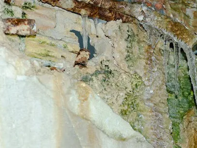 IBM Water Damage Restoration Picture 1