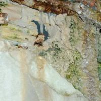 IBM Water Damage Restoration ico