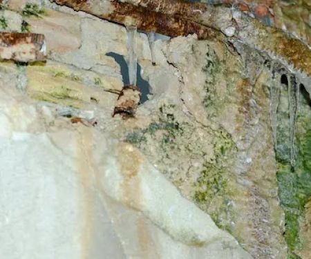 IBM Water Damage Restoration