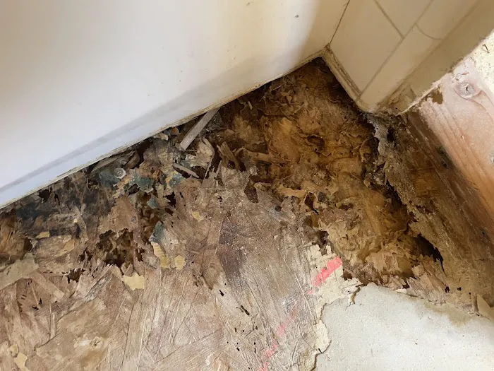 PuroClean Restoration Experts Picture 1