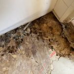 PuroClean Restoration Experts