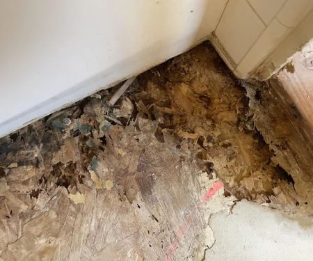 PuroClean Restoration Experts