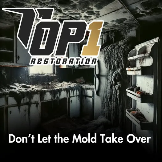 Top 1 Restoration Picture 7