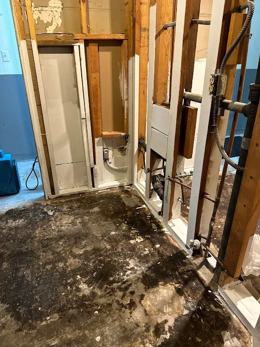 Grammatico Restoration Picture 4