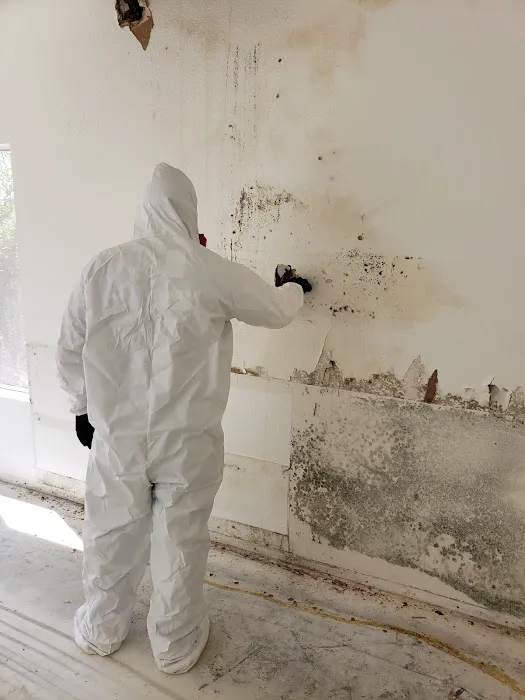 Rainbow International of Temecula Picture 4