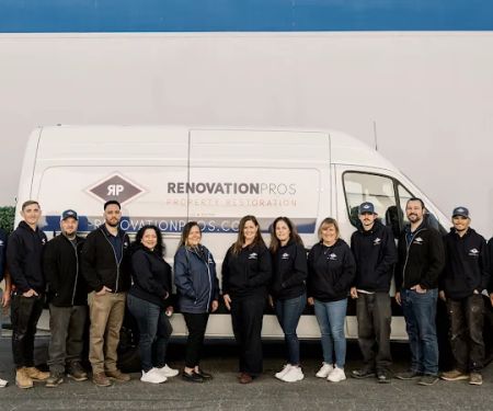 Renovation Pros