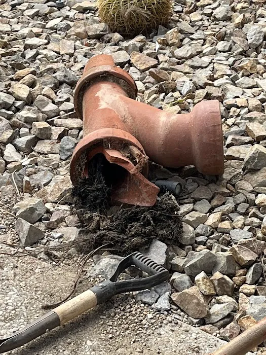 Roto-Rooter Plumbing & Water Cleanup Picture 3