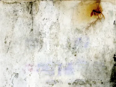 Dr Dry water Picture 3