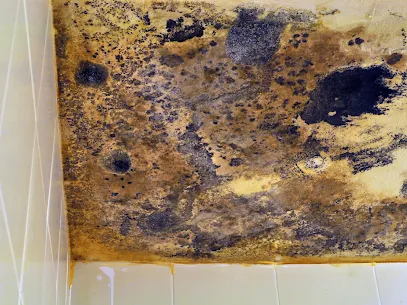 Dr Dry water Picture 1