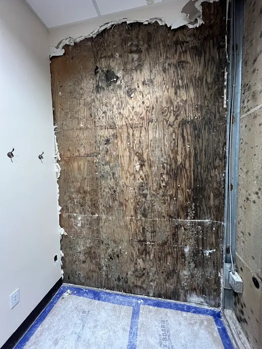 Distinctive Restoration Picture 8