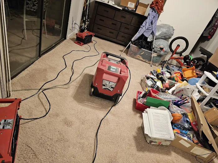 Rapid Dry Cleaning & Restoration Inc Picture 4