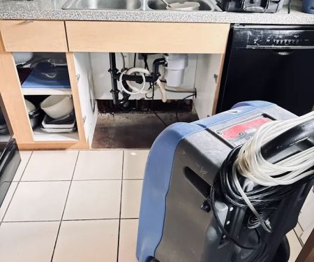 Water Tech Restoration and Mitigation Palm Desert