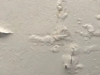 DryEasy water damage Extraction Picture 1