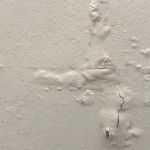 DryEasy water damage Extraction