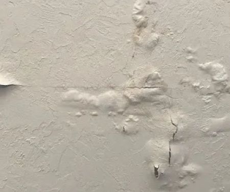 DryEasy water damage Extraction