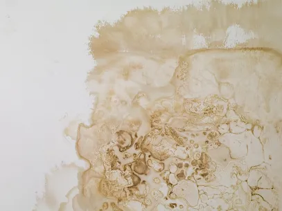 Rona Restoration Water and Smoke Picture 4