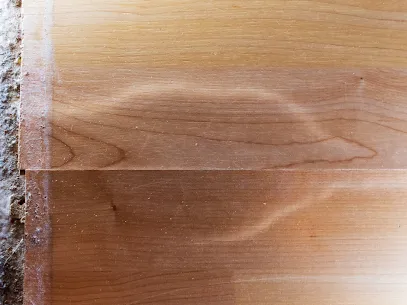 Rona Restoration Water and Smoke Picture 3