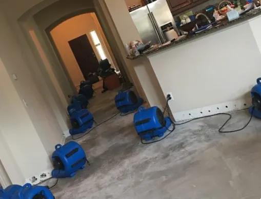 Stornick Water restoration Picture 4