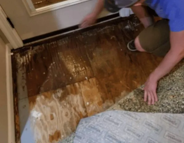 Stornick Water restoration Picture 6