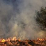 Portland Water & Fire Damage Restoration