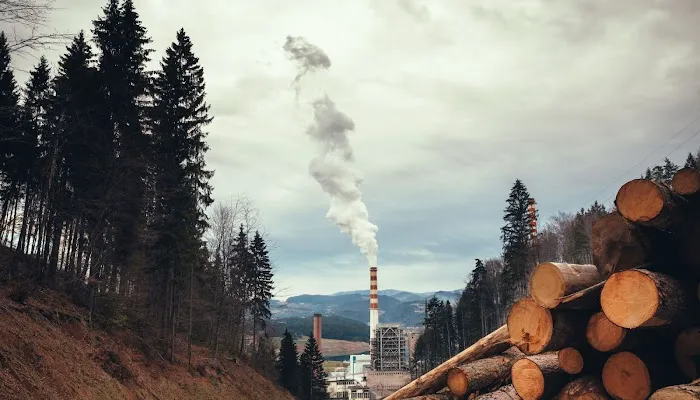 Portland Water & Fire Damage Restoration Picture 3