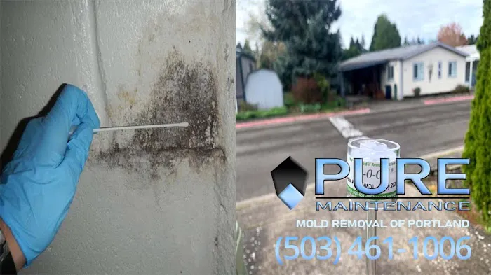 Pure Maintenance Portland Picture 7