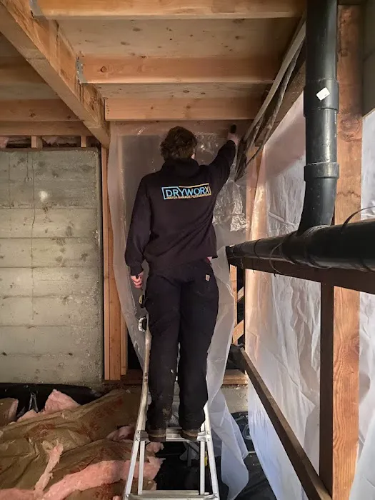 Dryworx Water Damage Restoration Picture 10