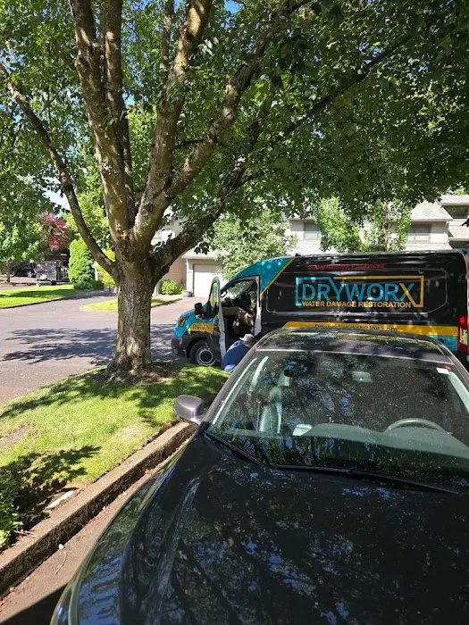 Dryworx Water Damage Restoration Picture 9