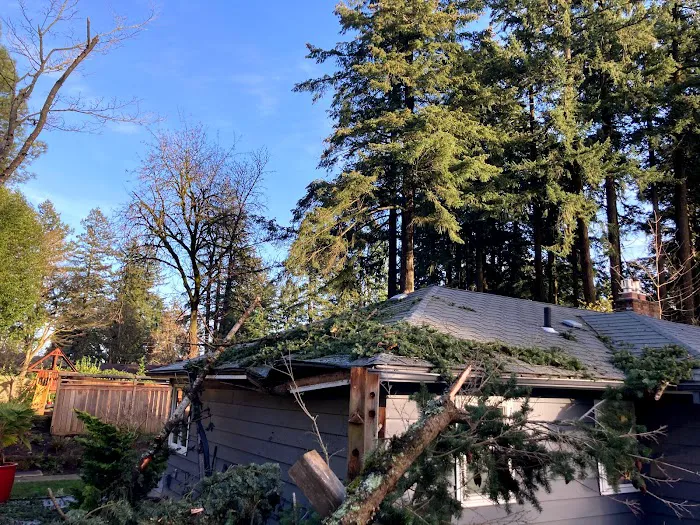 SERVPRO of Southwest Portland Picture 10