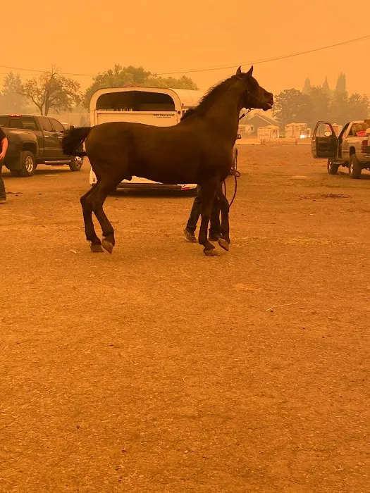 SERVPRO of Southeast Portland Picture 6