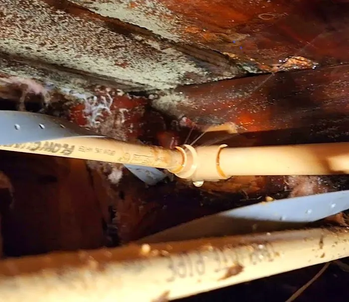 Carey Water Restoration of Oregon Picture 1