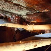 Carey Water Restoration of Oregon ico