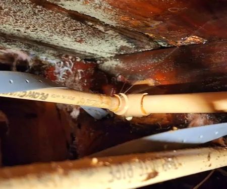 Carey Water Restoration of Oregon