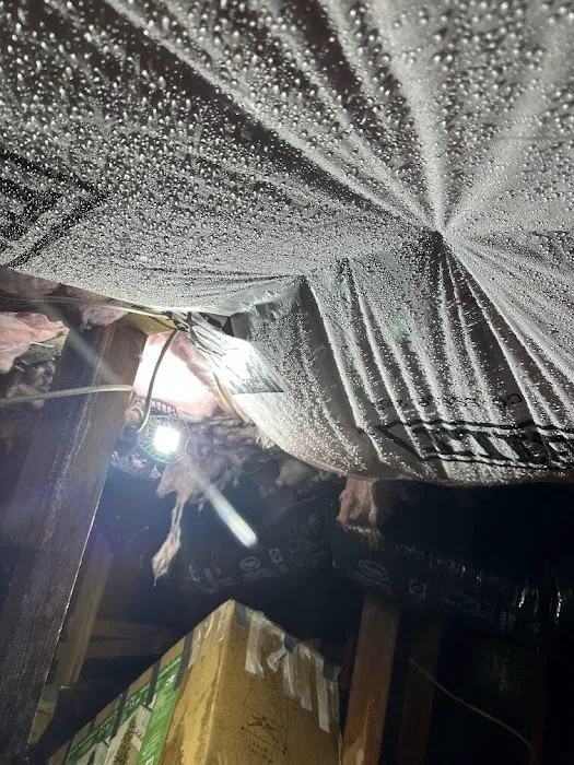 Carey Water Restoration of Oregon Picture 5