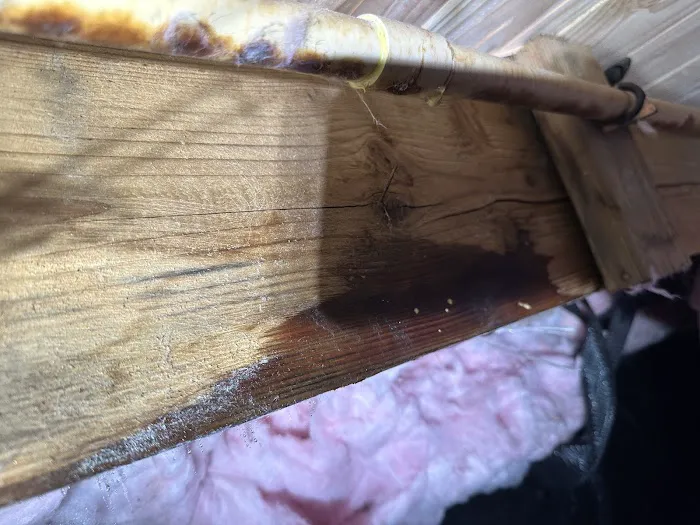 Carey Water Restoration of Oregon Picture 4