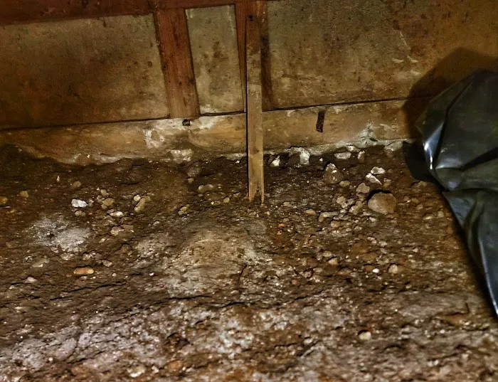 Carey Water Restoration of Oregon Picture 2