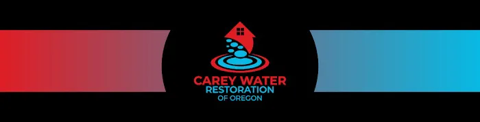 Carey Water Restoration of Oregon Picture 3